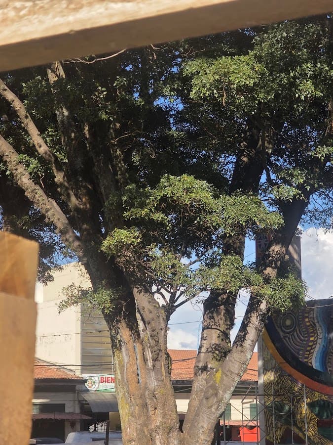 Parque Orellana — foto