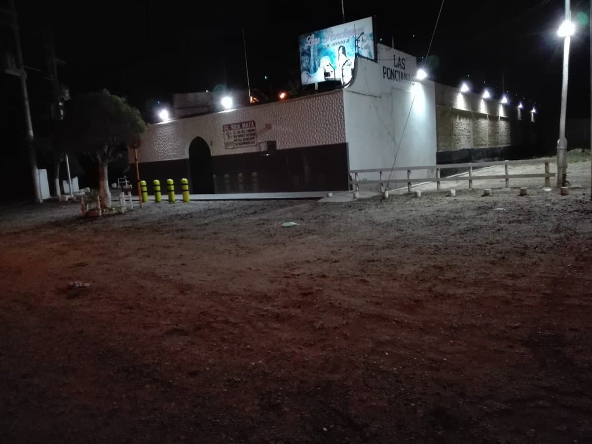 Sun Light Club — foto