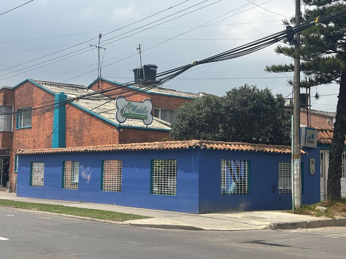 Clínica Veterinaria CPA - Urgencias 24 horas - Sede Modelia - Bogotá — foto