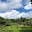 Reserva Nacional Allpahuayo-Mishana