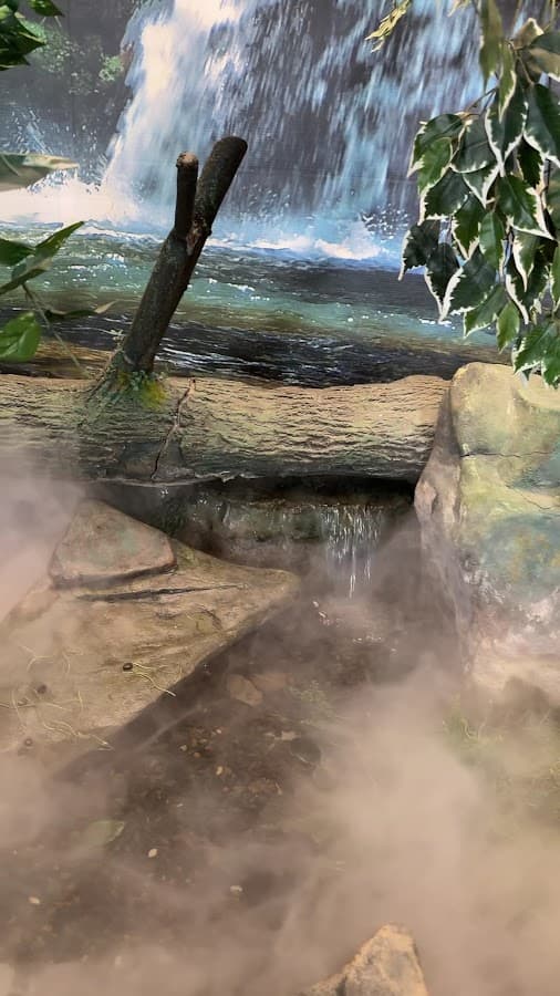 Museo del Agua EPM — foto