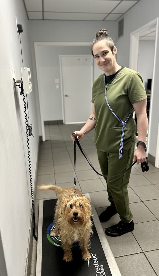 Arbor Pet Hospital — foto