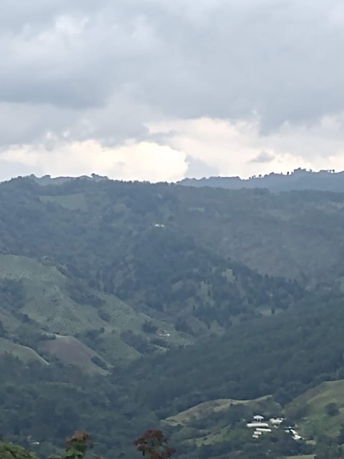 Parque Bellavista