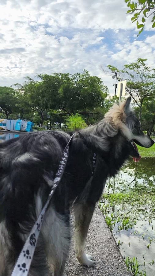 Parque Samanes — foto