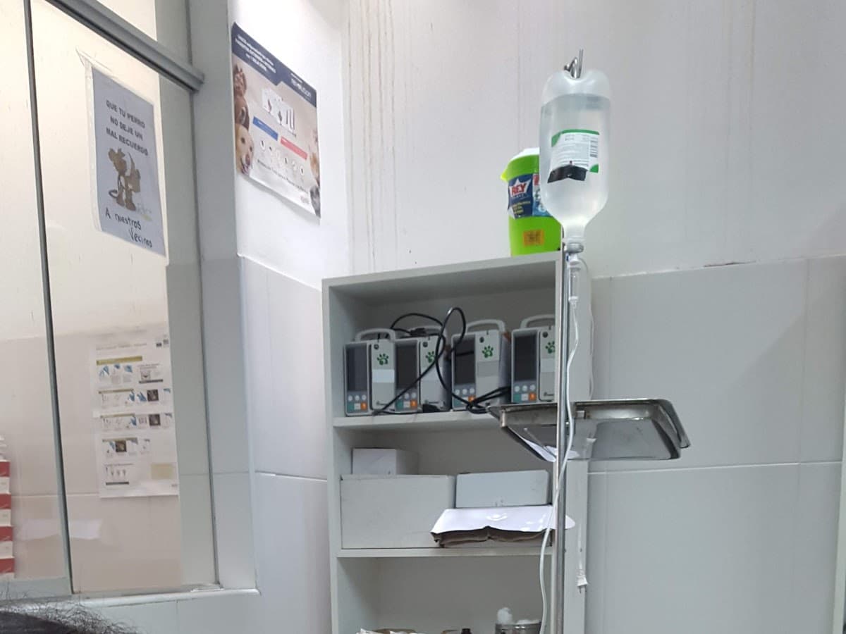 Sophis Vet