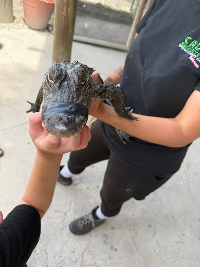 Croc Encounters — foto