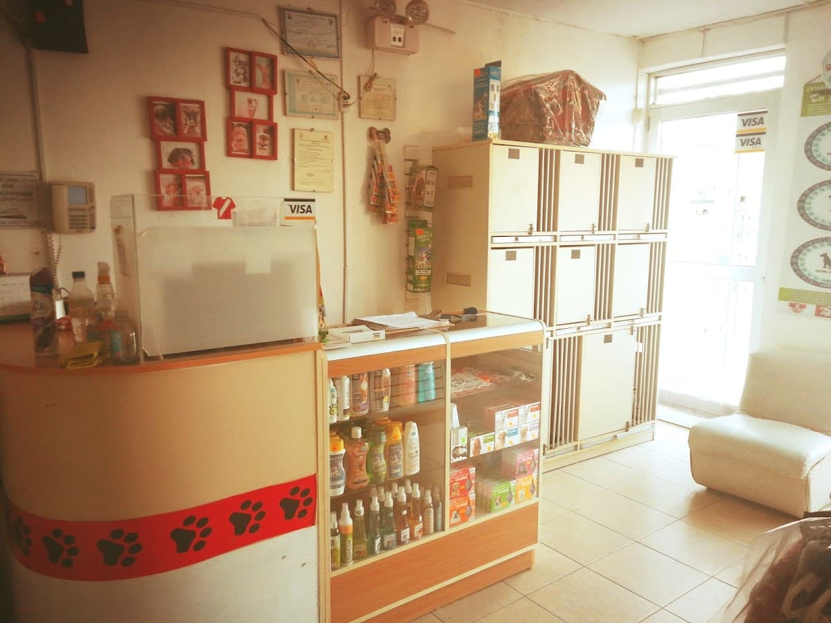 COQUETOS SPA DE MASCOTAS — foto