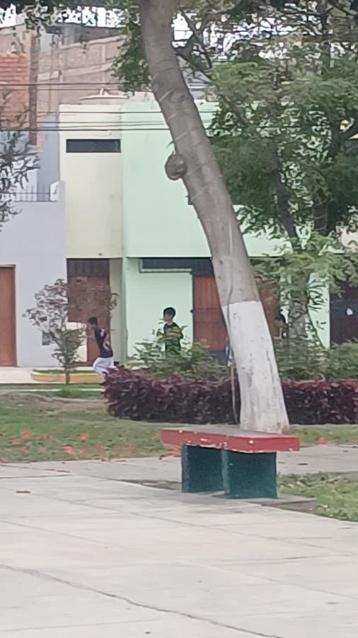 Parque Los Cañones — foto
