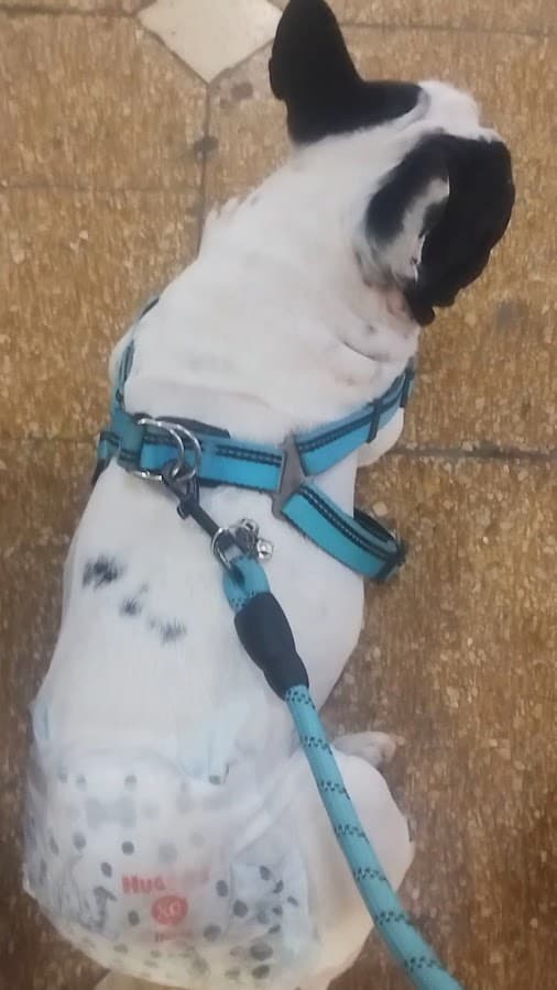 CIVA — foto