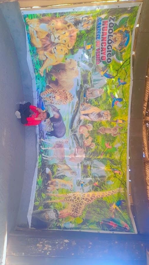 Ingreso Principal - Zoológico de Huancayo — foto