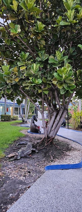 Rodeway Inn & Suites Fort Lauderdale Airport & Port Everglades Cruise Port Hotel — foto