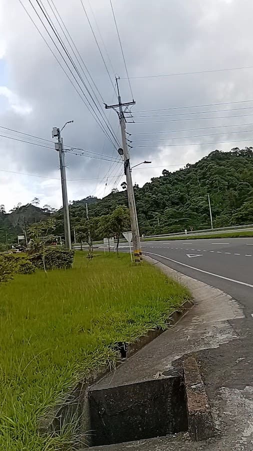 Parque de los Osos — foto