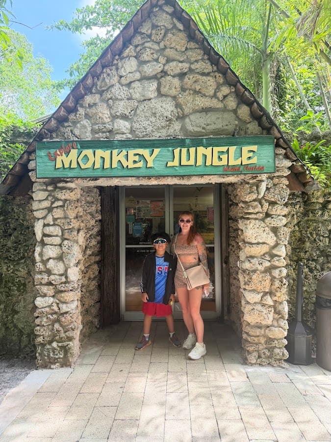 Monkey Jungle — foto