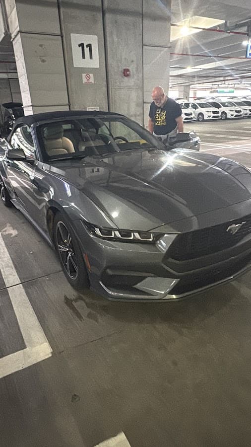 Alamo Rent A Car