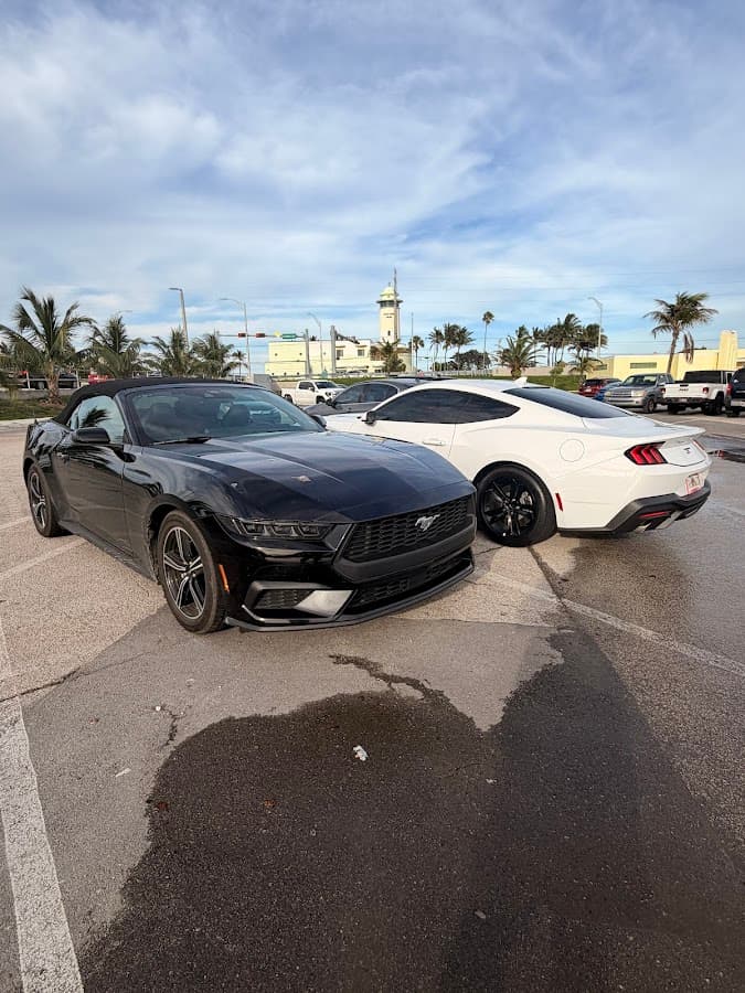 Alamo Rent A Car — foto