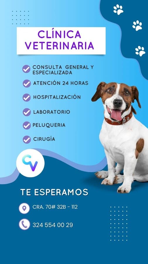 Clínica Veterinaria Los Rosales 24h — foto