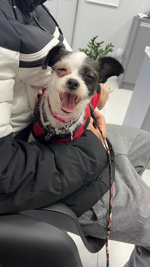 Veterinary Center of Santa Catarina — foto