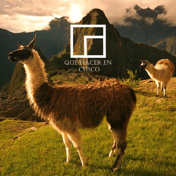 QUE HACER EN CUSCO — foto