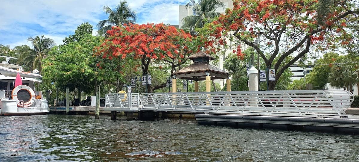 LauderGO! Water Trolley — foto