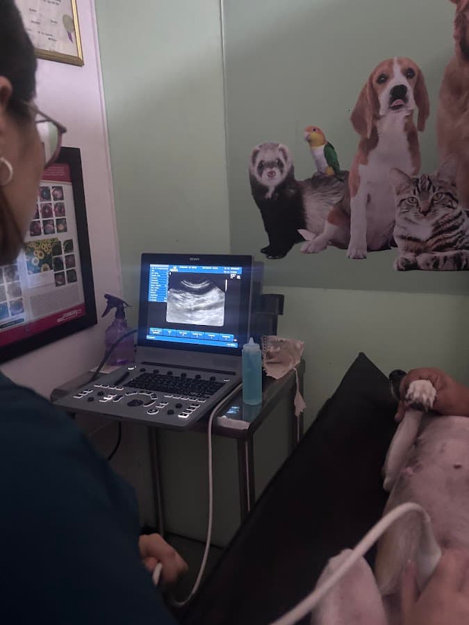 Clinica Veterinaria Vet center — foto