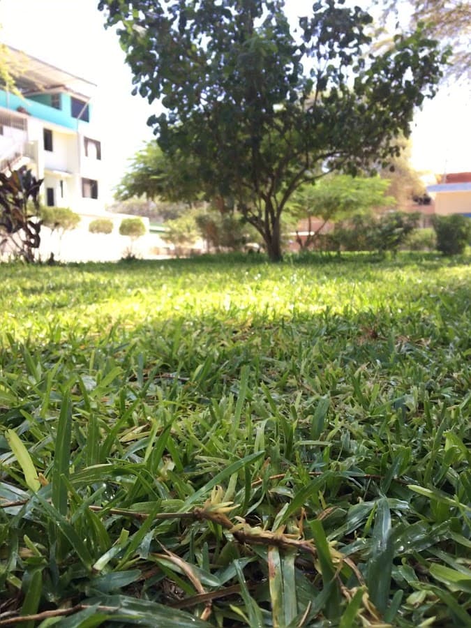 Parque Sondorillo — foto