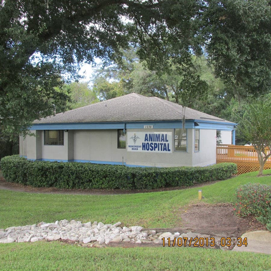 Monument Road Animal Hospital — foto