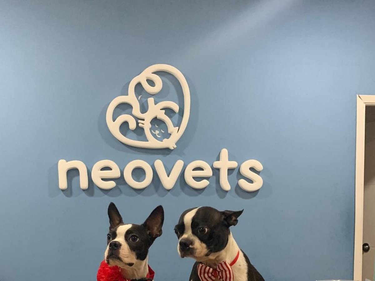Sabuesos Veterinaria — foto