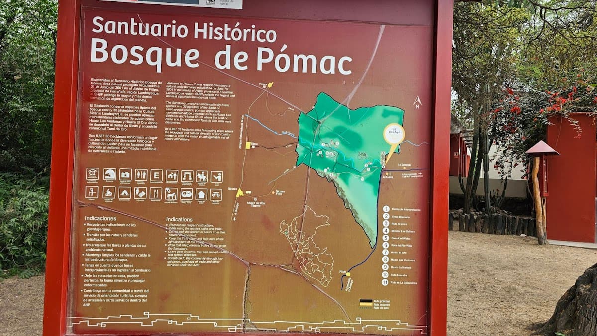 Santuario Histórico Bosque de Pómac — foto