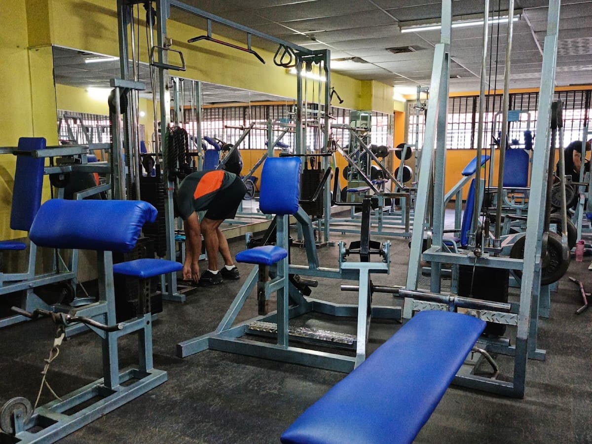 Gym Impact