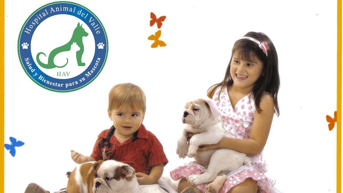 Hospital Animal Del Valle