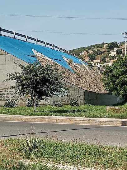 Escultura sierra nevada de santa marta