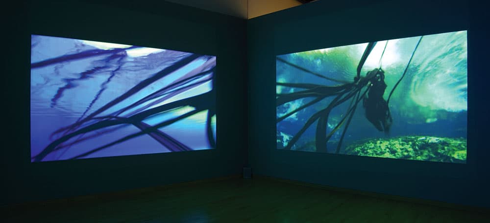 USF Contemporary Art Museum — foto