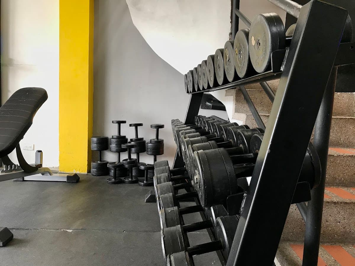Fullbody Gym — foto