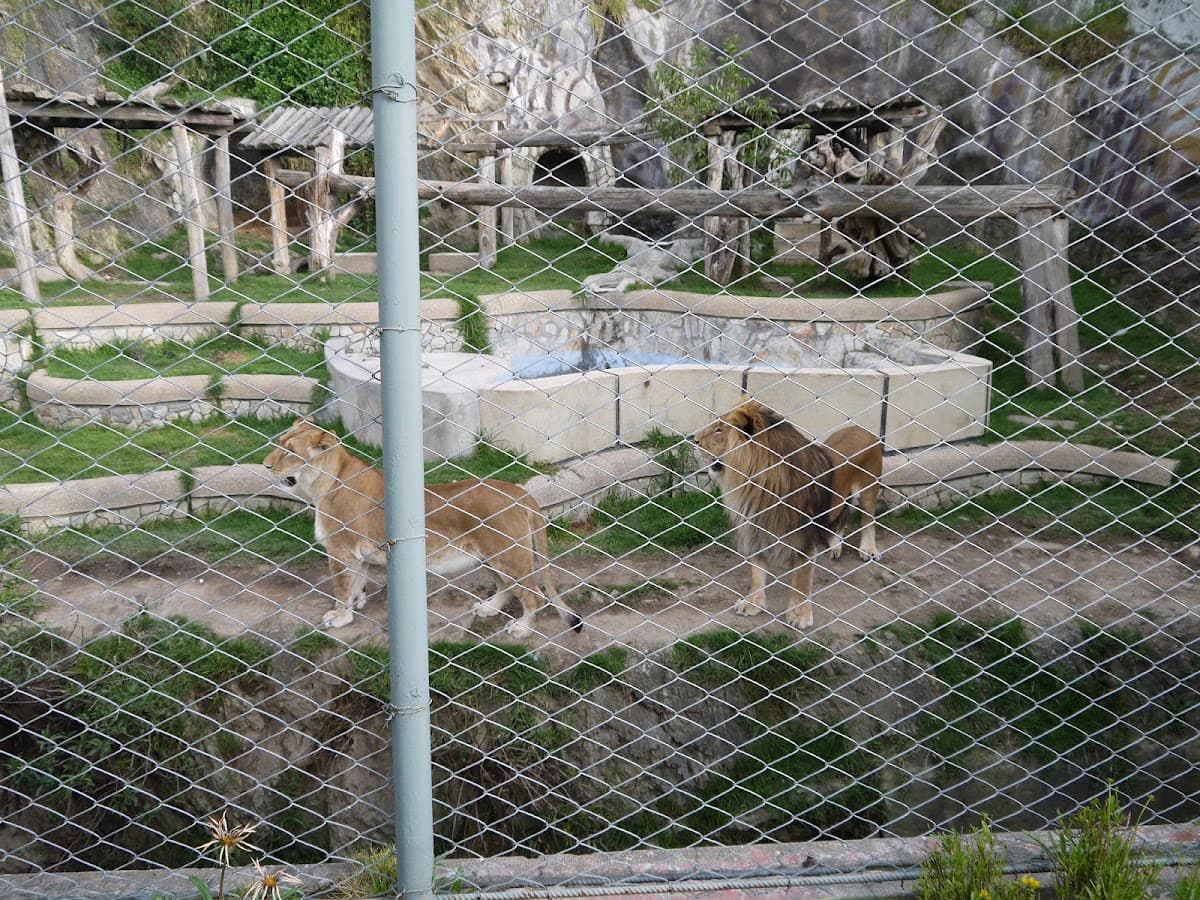 Parque - Zoológico de Huancayo — foto