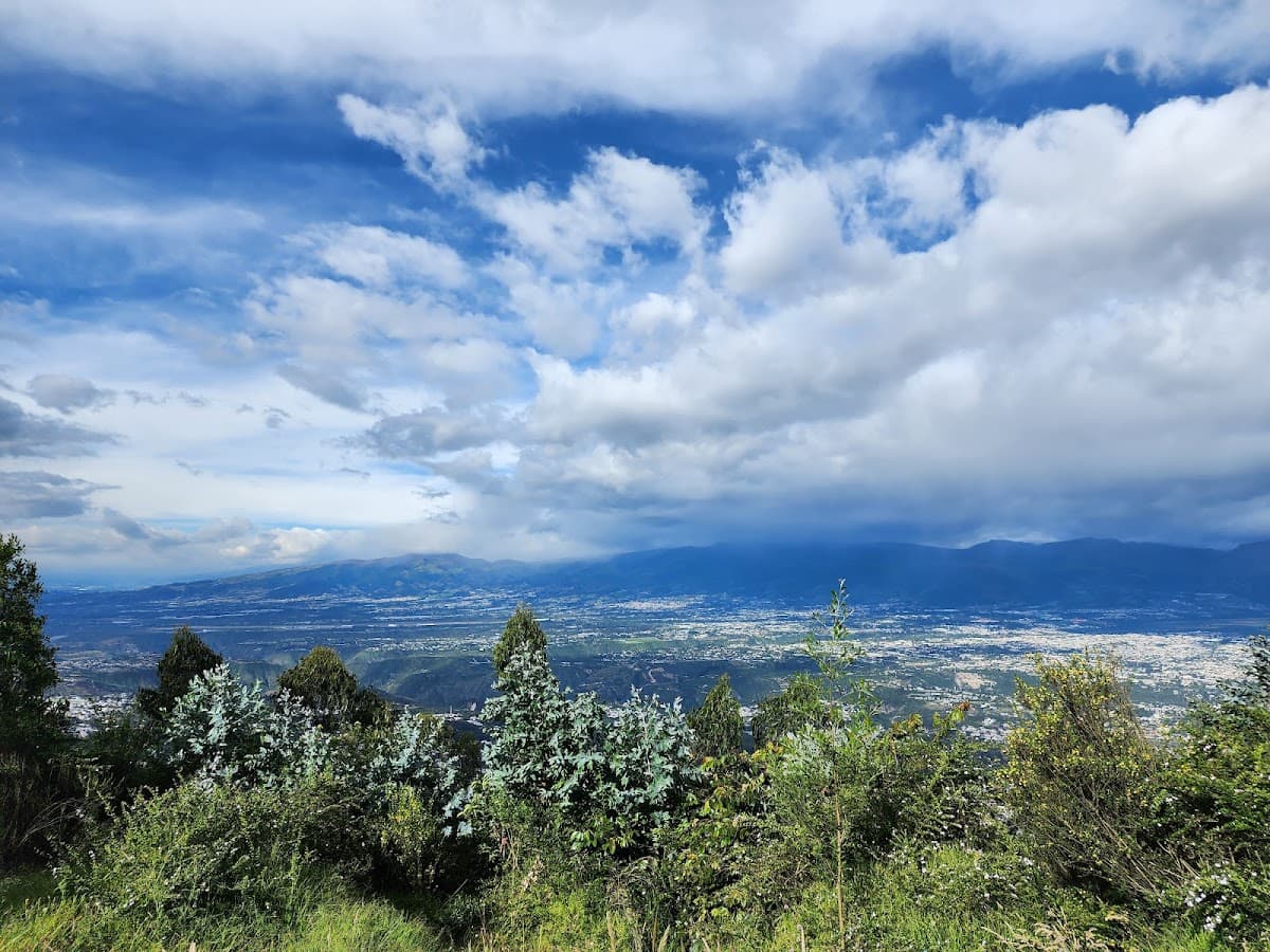 Mirador Parque Metropolitano