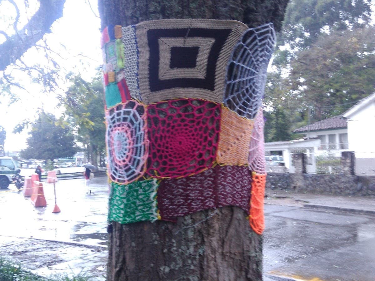 Parque Bolivar — foto