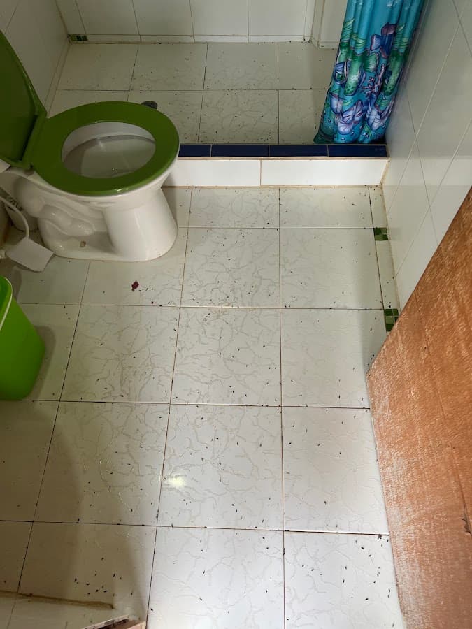 Hostal Casa Horizonte — foto