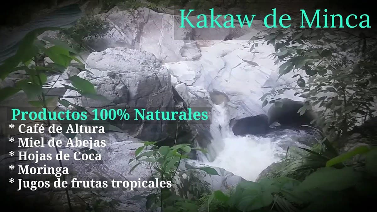 Kakaw Orgánico Artesanal de Minca — foto