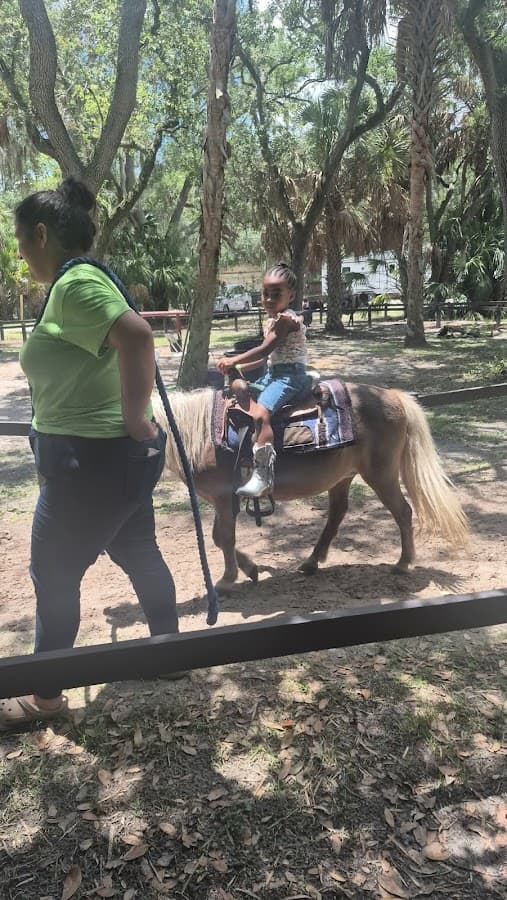 HorsePower for Kids & Animal Sanctuary — foto