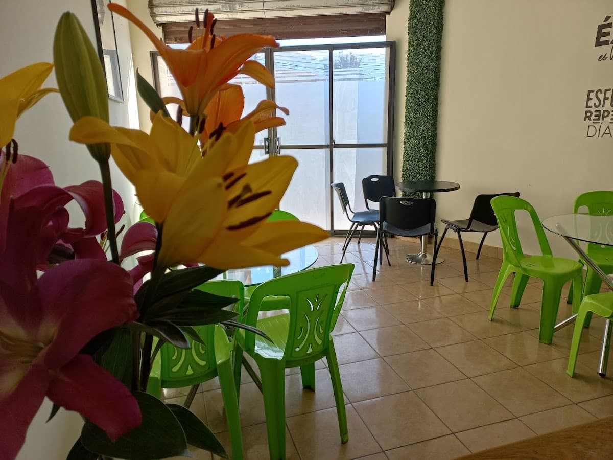 COLEGIO DE NUTRICIONISTAS DIETISTAS DE CBBA