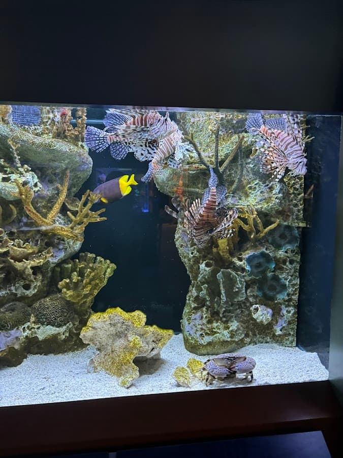 Cox Science Center and Aquarium — foto