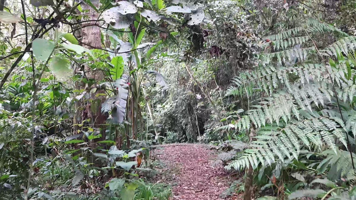 Ecoparque Alcazares Arenillo — foto