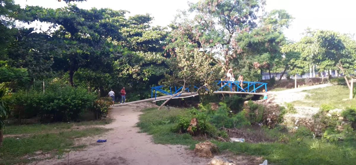 Jardín Botánico ARMANDO DUGAND GNECCO — foto