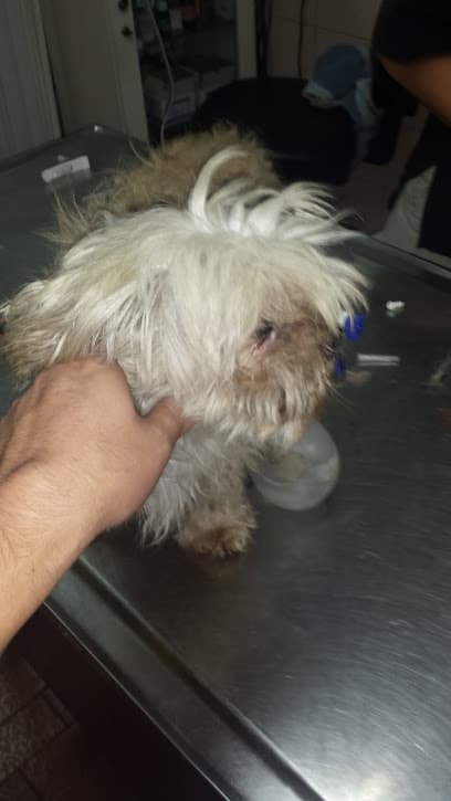 Veterinaria Caracas — foto