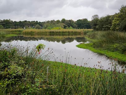 Humedal Santa María del Lago