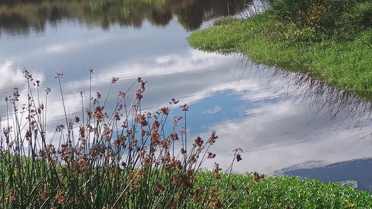 Humedal Santa María del Lago — foto
