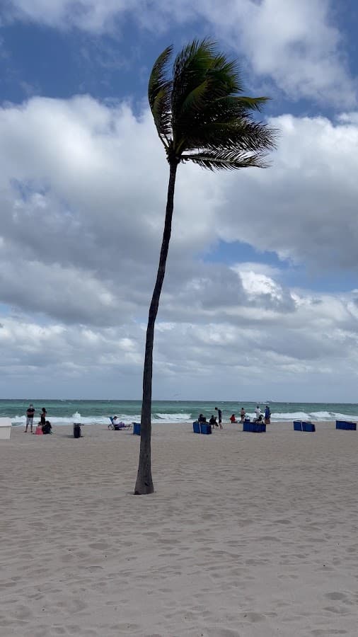Fort Lauderdale Beach View Point — foto
