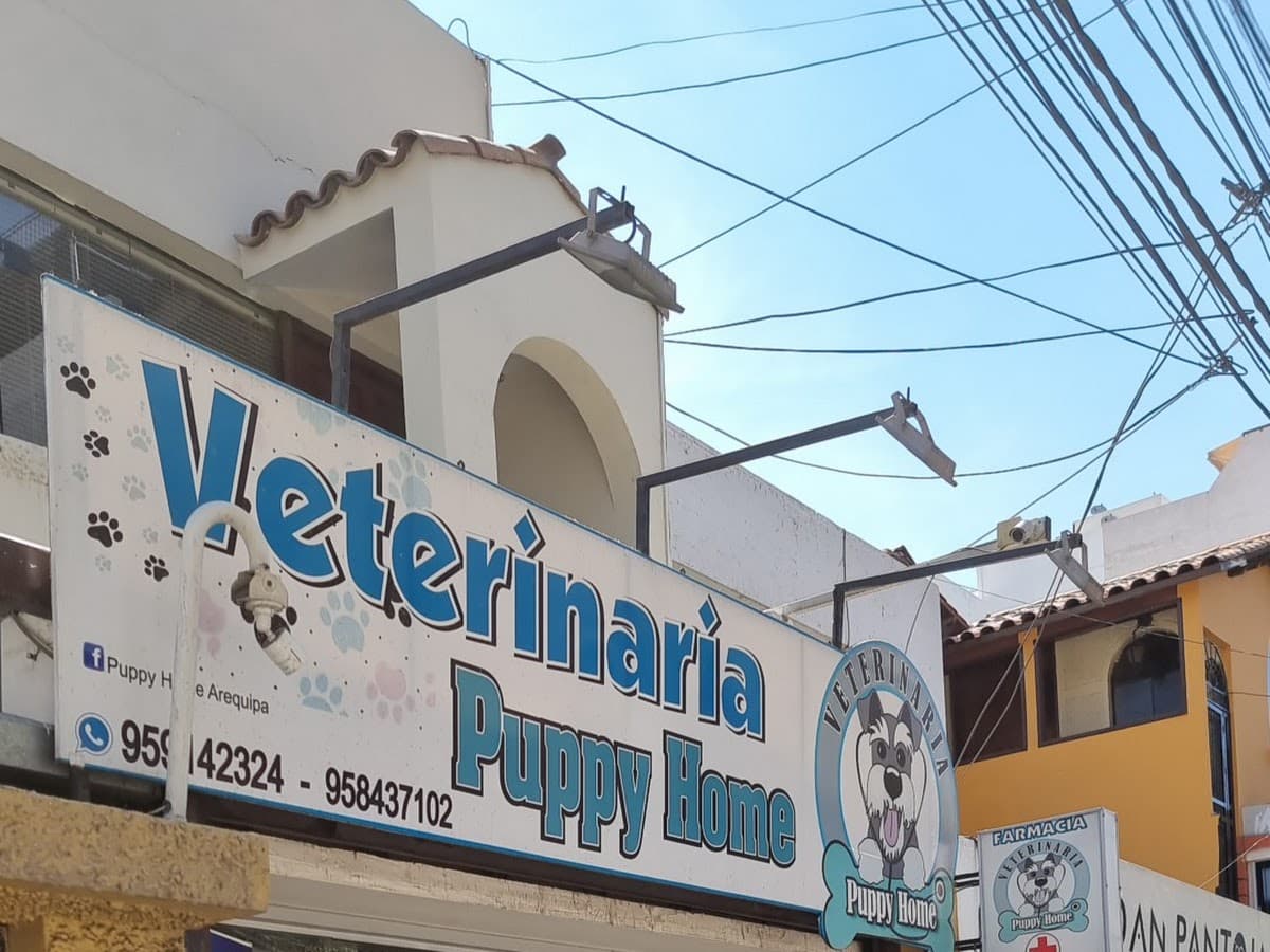 Veterinaria KenPet — foto