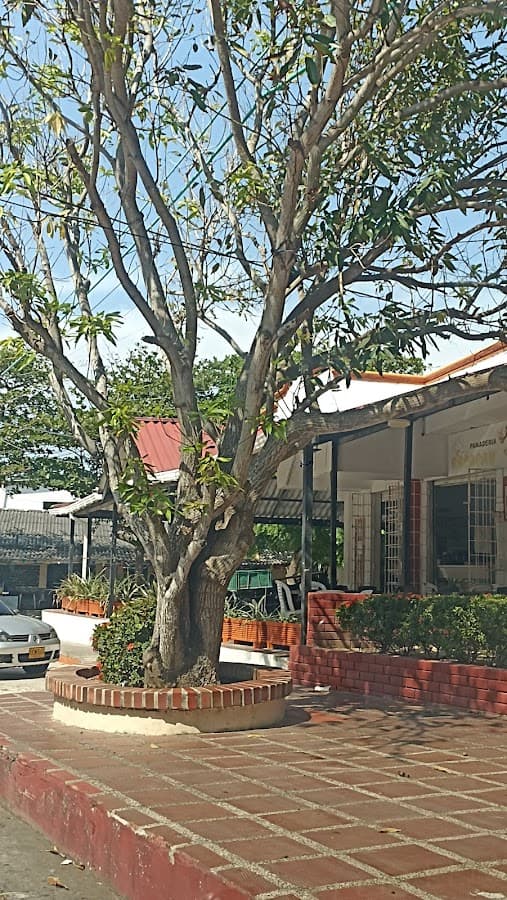 Parque Cisneros — foto