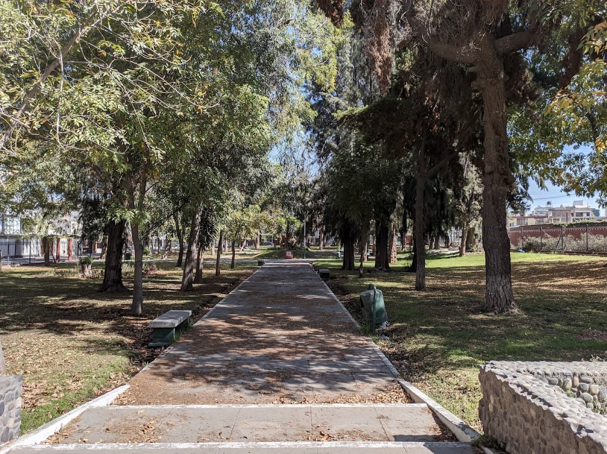 Parque del Maestro — foto